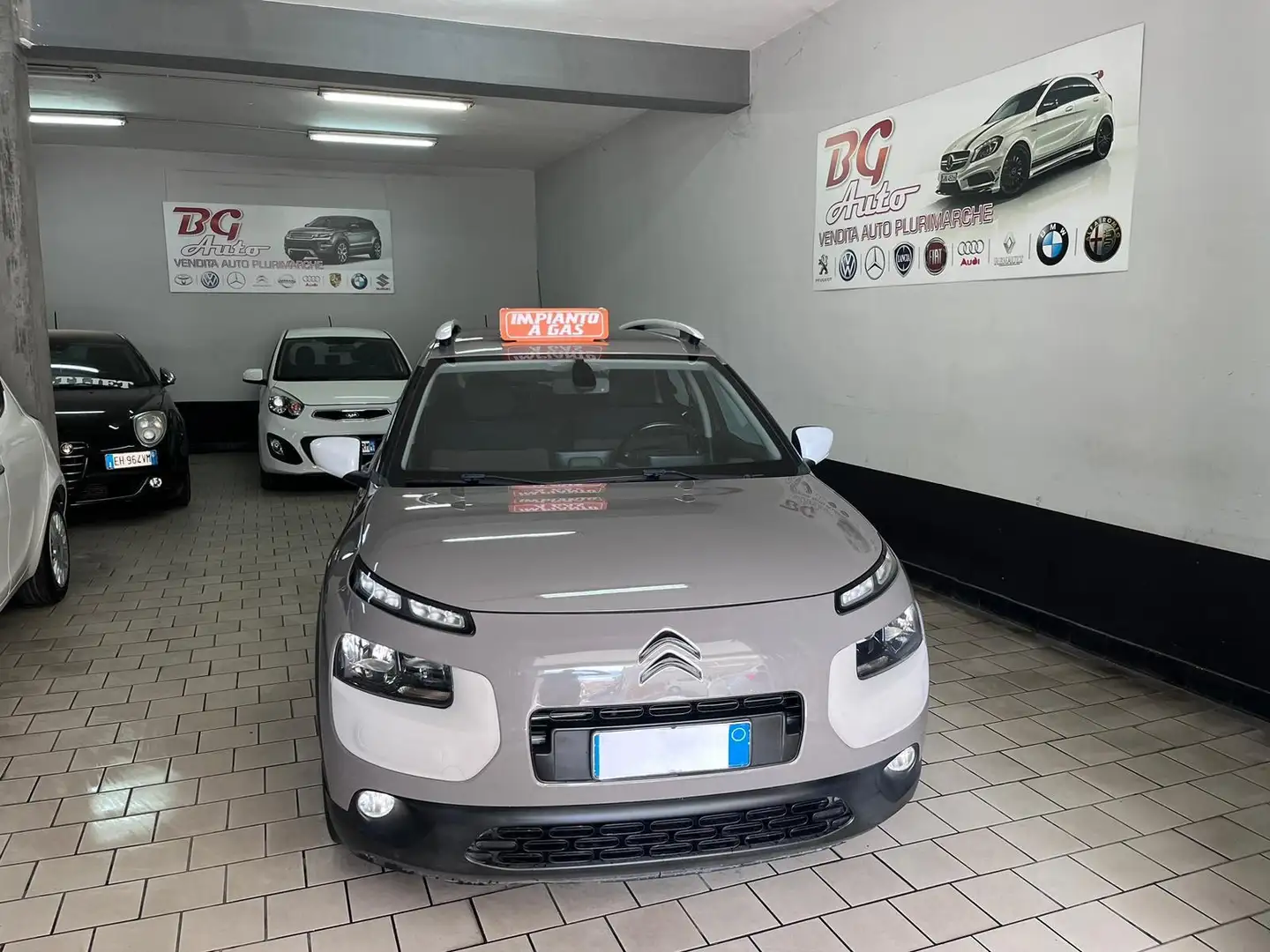 Citroen C4 Cactus shine edition Grigio - 1