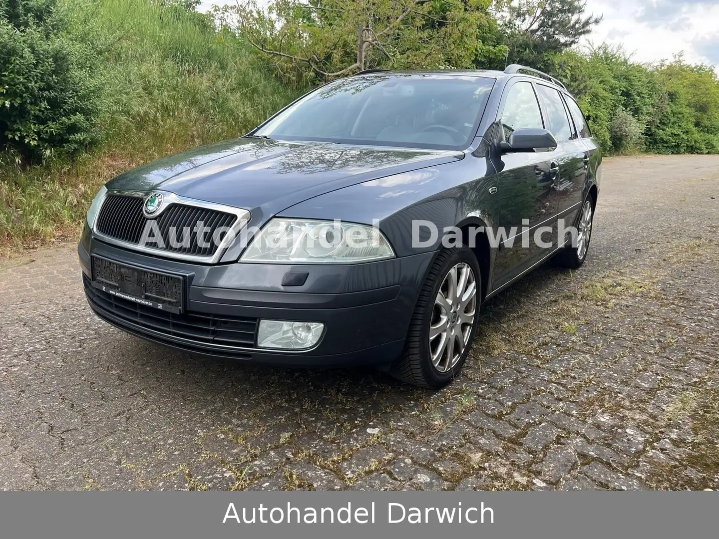 Skoda Octavia 2.0 TDI Laurin & Klement Leder/Xen Top Grau - 1