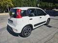 Fiat Panda 1.0 Gse Hybrid City Cross Blanco - thumbnail 2