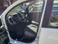 Fiat Panda 1.0 Gse Hybrid City Cross Blanco - thumbnail 8