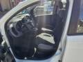 Fiat Panda 1.0 Gse Hybrid City Cross Blanco - thumbnail 7