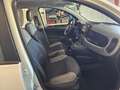 Fiat Panda 1.0 Gse Hybrid City Cross Blanco - thumbnail 17