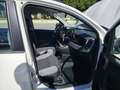 Fiat Panda 1.0 Gse Hybrid City Cross Blanco - thumbnail 9