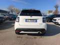 Fiat 600 IV 2023 1.2 hybrid La Prima 110cv auto Blanc - thumbnail 5