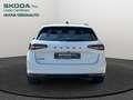 Skoda Superb Wagon Sportline 2,0 TDI 110 kW (150 CV) 7 marce - Weiß - thumbnail 5