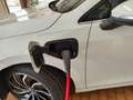 Volkswagen Golf 1.4 PLUG-IN HYBRID DA 204 CV Bianco - thumbnail 3