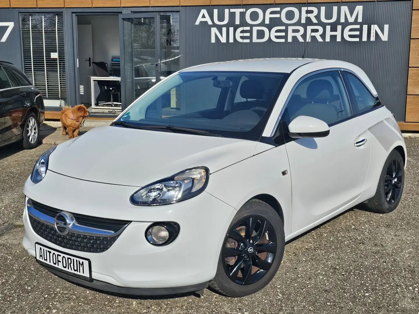 Opel Adam 1.2 Jam KLIMA TEMPOMAT* ALUFELGEN* JAHRESREIFEN* Blanco - 1