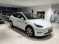 Tesla Model Y Long Range DualMotor AWD Tetto Pelle AUTOPILOT 19” Bianco - thumbnail 2