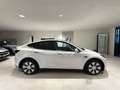 Tesla Model Y Long Range DualMotor AWD Tetto Pelle AUTOPILOT 19” Bianco - thumbnail 34