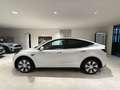 Tesla Model Y Long Range DualMotor AWD Tetto Pelle AUTOPILOT 19” Bianco - thumbnail 35