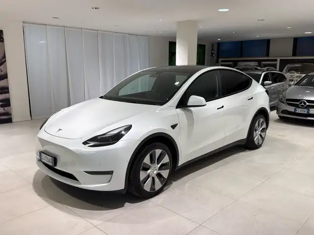 Tesla Model Y Long Range DualMotor AWD Tetto Pelle AUTOPILOT 19”