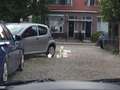 BMW X5 XDrive35i High Executive | M- pakket | HUD | Harma Zwart - thumbnail 15