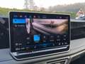 Volkswagen Tiguan R-Line 2,0 l TDI SCR 4MOTION 142 kW 193 PS 7-Gang-Doppelkuppl Blau - thumbnail 29