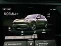 Porsche Cayenne Grün - thumbnail 20