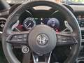 Alfa Romeo Stelvio Stelvio 2023 2.2 t Veloce Q4 210cv auto Grigio - thumbnail 17