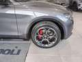 Alfa Romeo Stelvio Stelvio 2023 2.2 t Veloce Q4 210cv auto Grigio - thumbnail 21