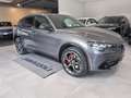 Alfa Romeo Stelvio Stelvio 2023 2.2 t Veloce Q4 210cv auto Grigio - thumbnail 9