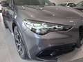 Alfa Romeo Stelvio Stelvio 2023 2.2 t Veloce Q4 210cv auto Grigio - thumbnail 7
