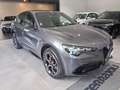Alfa Romeo Stelvio Stelvio 2023 2.2 t Veloce Q4 210cv auto Grigio - thumbnail 3