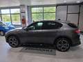 Alfa Romeo Stelvio Stelvio 2023 2.2 t Veloce Q4 210cv auto Grigio - thumbnail 8