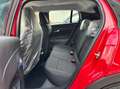 Fiat 600 1.2 hybrid Icon 110cv auto - thumbnail 10