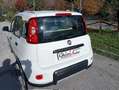Fiat Panda 1.2 LOUNGE  5 POSTI *ok neopatentati* euro 6B Weiß - thumbnail 8