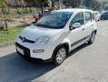 Fiat Panda 1.2 LOUNGE  5 POSTI *ok neopatentati* euro 6B Weiß - thumbnail 11