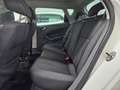 SEAT Ibiza Ibiza IV 2008 Berlina SC 1.2 tdi cr Copa Bianco - thumbnail 9