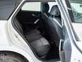 Audi Q2 35 TDI Adrenalin Black edition S tronic 110kW Blanco - thumbnail 8
