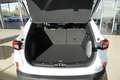 Ford Kuga 1,5 186PS Aut.5*J.Gar/LED/Navi/Winterp.       ** Weiß - thumbnail 13