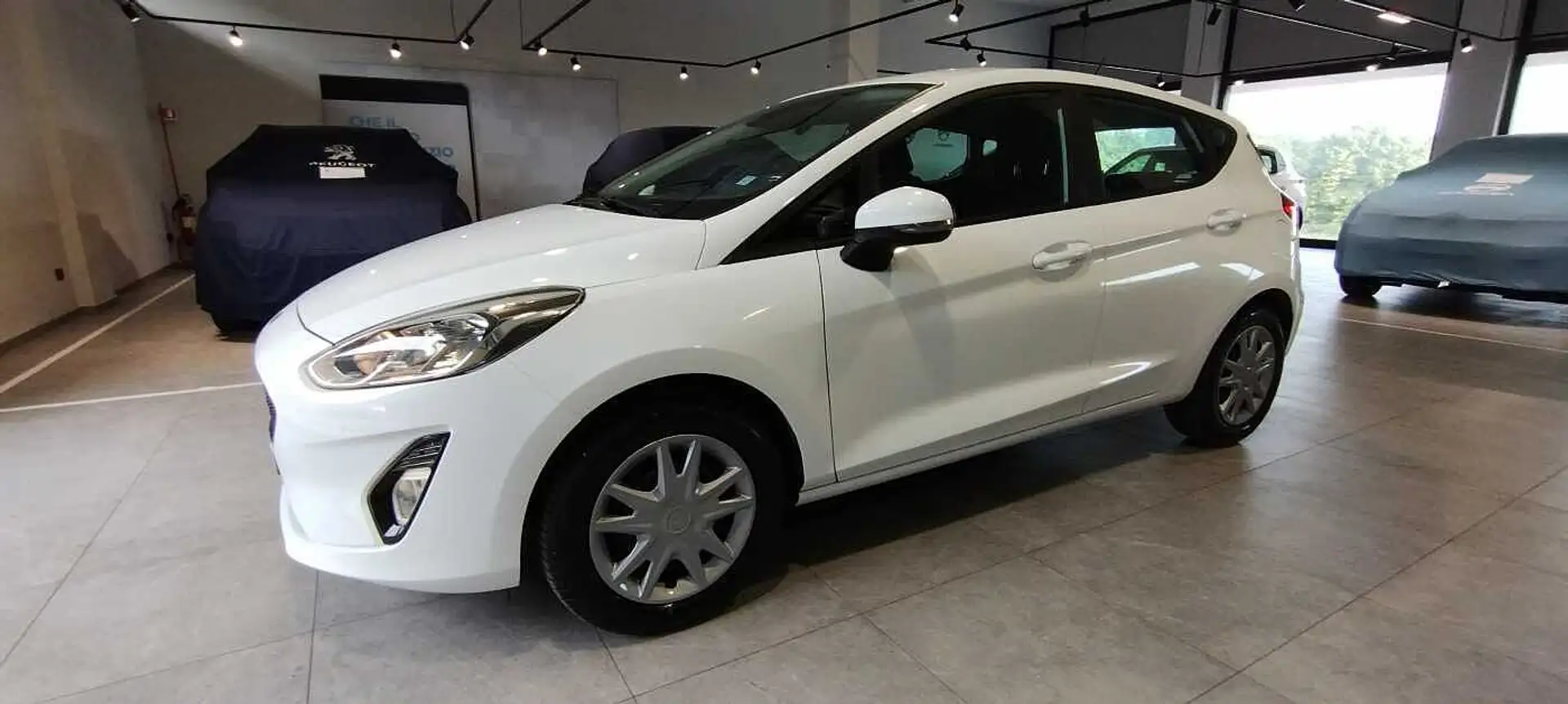 Ford Fiesta 7ª serie 1.1 5 porte Plus Bianco - 1
