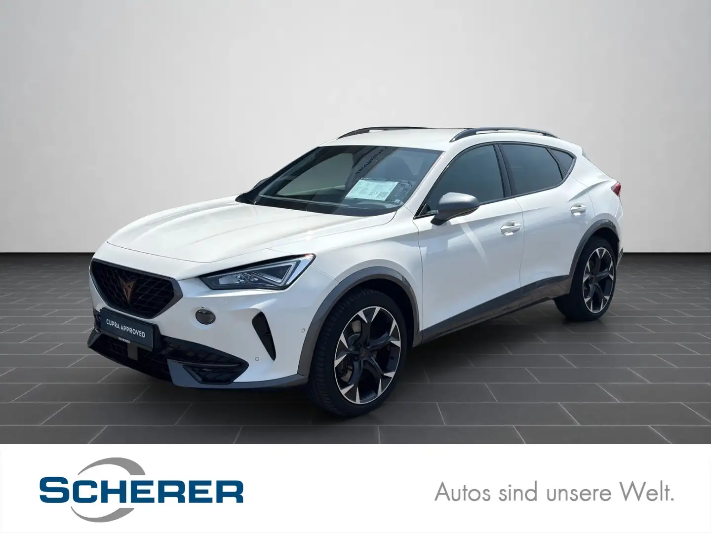 CUPRA Formentor VZ 2.0 TSI DSG 4Drive LED NAVI RFK ACC Weiß - 1