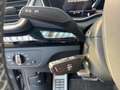 Audi SQ5 TDI quattro tiptronic Matrix Navi PDC Virtua Grau - thumbnail 14