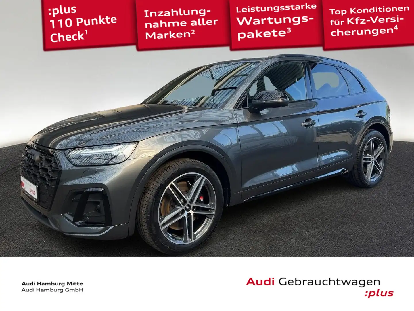 Audi SQ5 TDI quattro tiptronic Matrix Navi PDC Virtua Grau - 1
