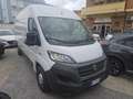 Fiat Ducato 35 3.0 CNG PLM-SL-TM Furgone coibentato !!!! Bianco - thumbnail 1