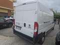 Fiat Ducato 35 3.0 CNG PLM-SL-TM Furgone coibentato !!!! Bianco - thumbnail 8