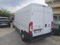 Fiat Ducato 35 3.0 CNG PLM-SL-TM Furgone coibentato !!!! Bianco - thumbnail 3
