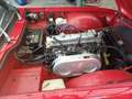 Triumph TR6 carburateur Rot - thumbnail 7