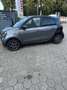 smart forFour twinamic passion - thumbnail 2