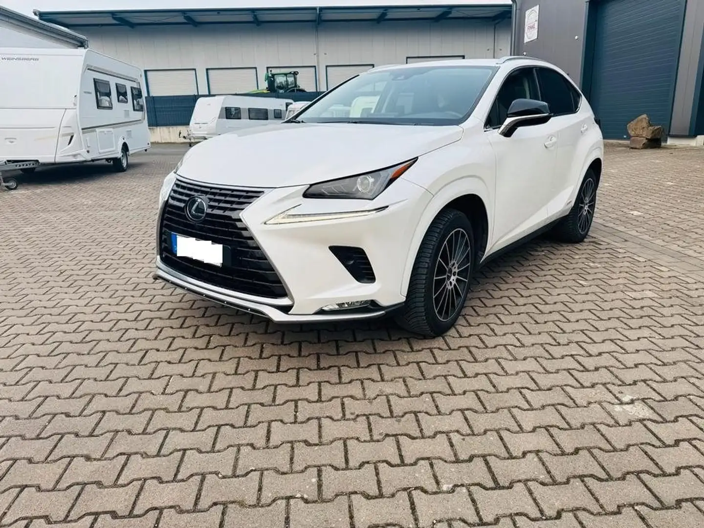 Lexus NX 300h Style Hybrid Weiß - 1