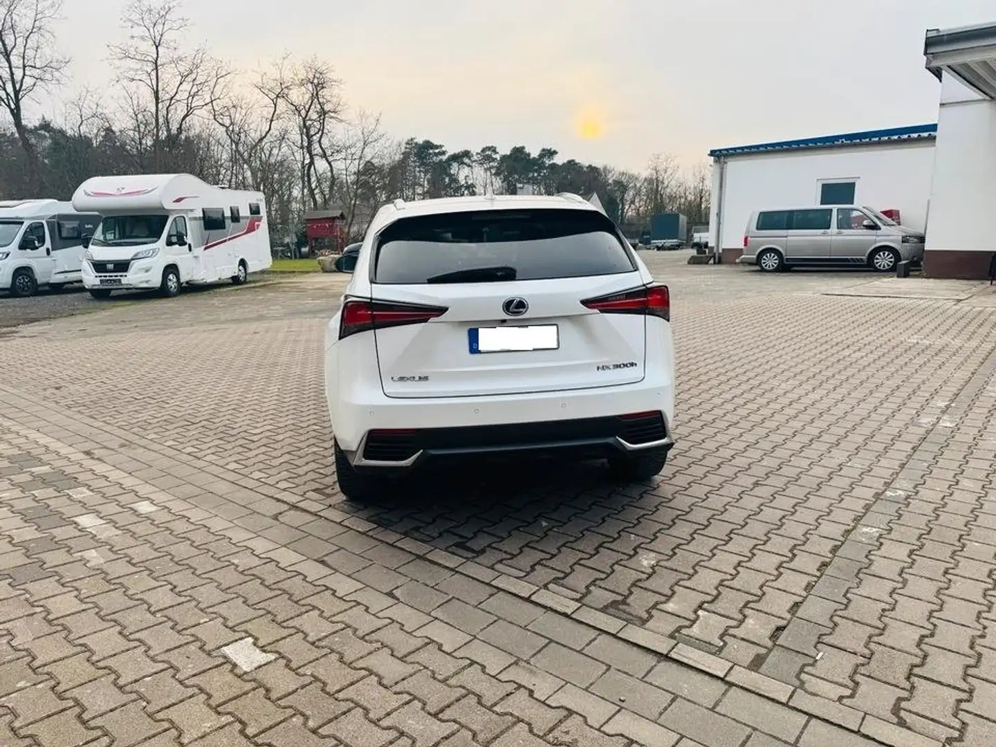 Lexus NX 300h Style Hybrid Weiß - 2