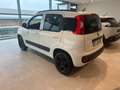 Fiat Panda 1.3 MJT 80 CV S&S 4x4 Bianco - thumbnail 3