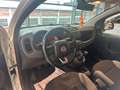 Fiat Panda 1.3 MJT 80 CV S&S 4x4 Bianco - thumbnail 7