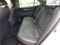 Toyota Camry 2.5 Hybrid Lounge *Neuwagen* - netto EUR 35.880,- White - thumbnail 12