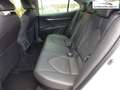 Toyota Camry 2.5 Hybrid Lounge *Neuwagen* Weiß - thumbnail 12