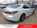 Toyota Camry 2.5 Hybrid Lounge *Neuwagen* - netto EUR 35.880,- Bianco - thumbnail 1