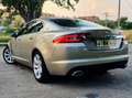 Jaguar XF XF 3.0 V6 Diesel  Luxury 240 Aut. Premium Luxury Oro - thumbnail 8