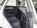 Audi Q5 40 TDI QUATTRO S TRONIC Bianco - thumbnail 9