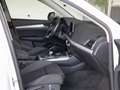 Audi Q5 40 TDI QUATTRO S TRONIC Bianco - thumbnail 8