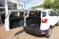 Ford EcoSport Cool & Connect PDC V+H NAVI Weiß - thumbnail 6